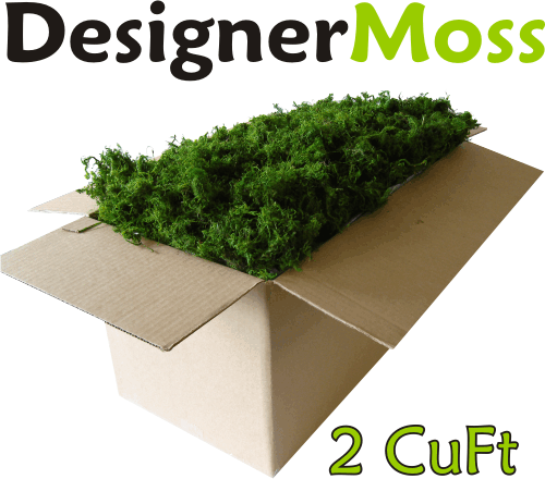 DesignerMoss Quality Moss with Style Loose Moss
